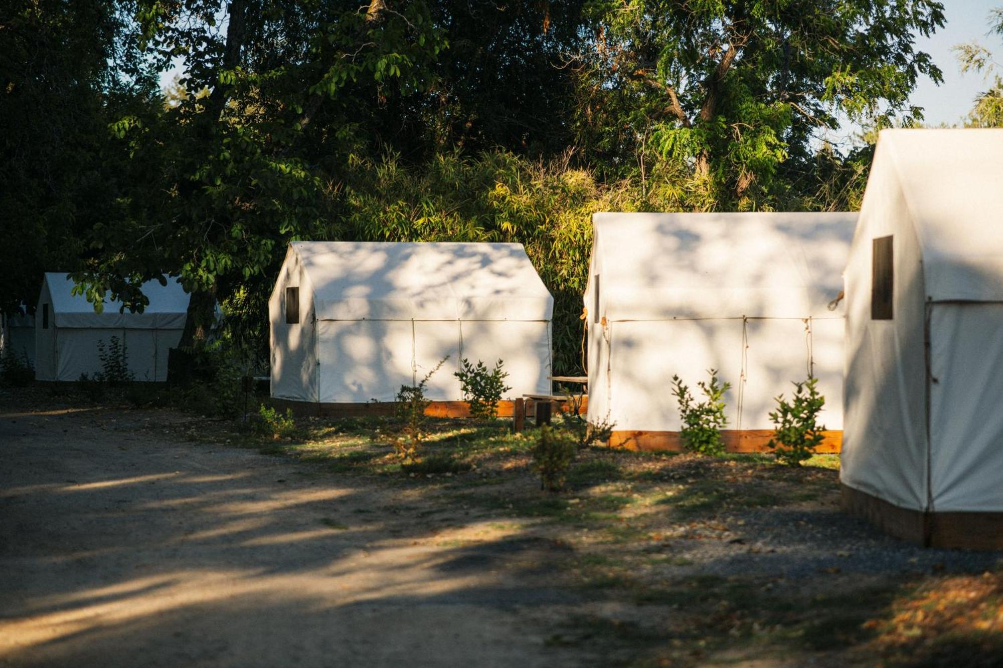 Johnson'S Beach Cabins And Campground Ґернвілл Екстер'єр фото